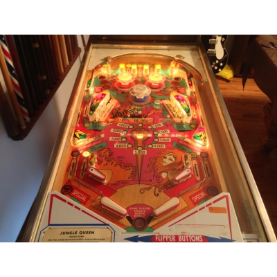 Gottlieb Jungle Queen Pinball Machine - 1977 Four Player Game in Excellent Condition