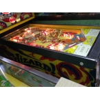 BALLY WIZARD PINBALL MACHINE - 1976 - BWIZ01